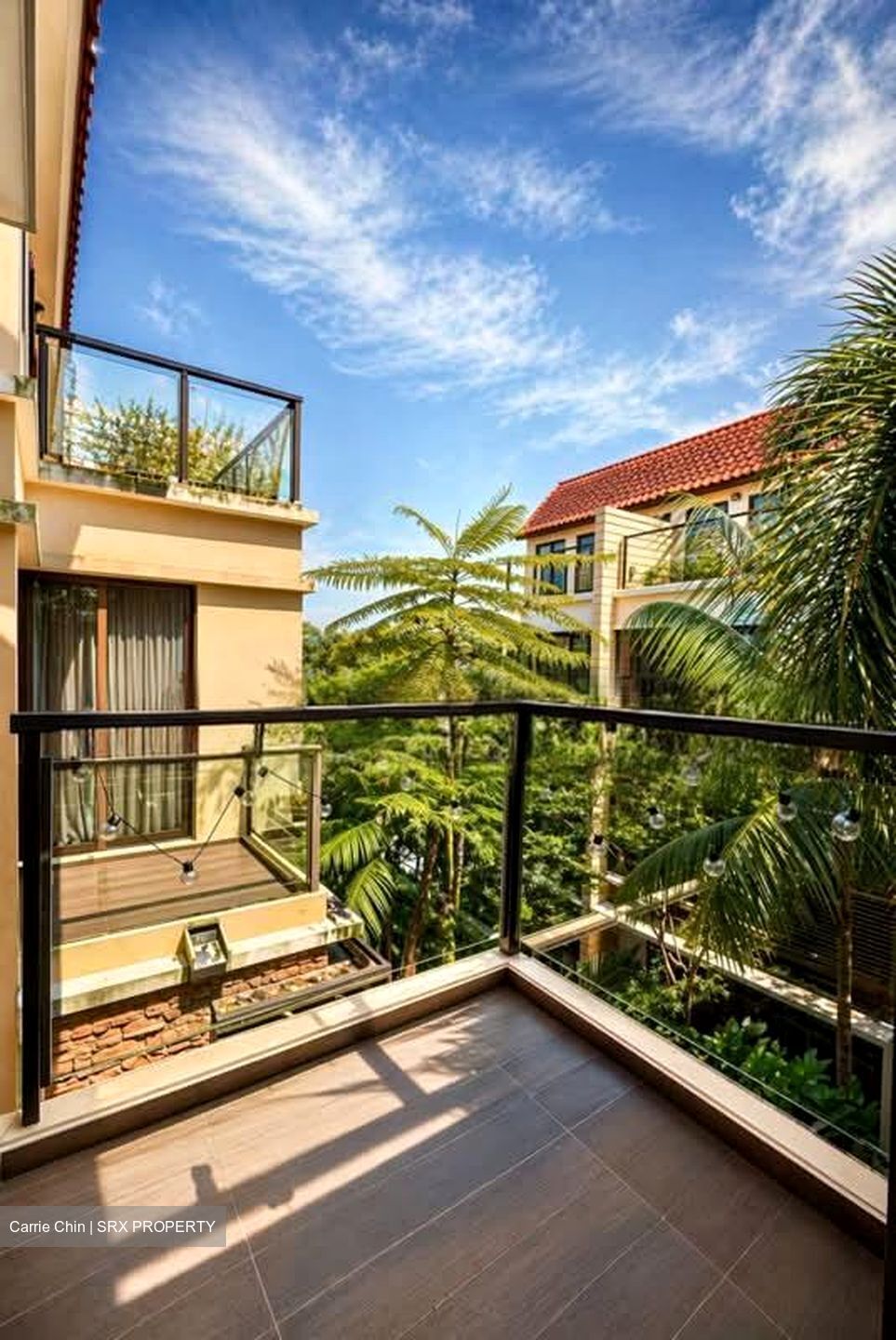 Holland Link (D10), Terrace #554674341